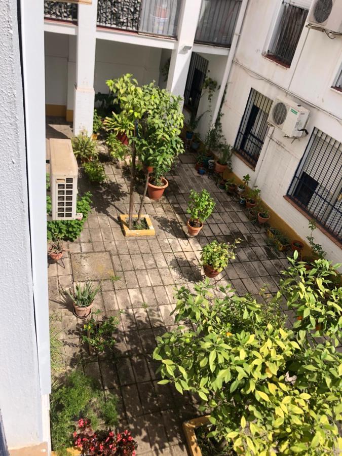 Apartamento Plaza Santa Lucia Renovado Febrero 2025 Sevilla Exteriér fotografie